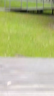 114.mp4