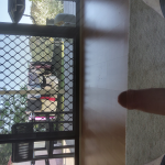 20230917_104953.jpg