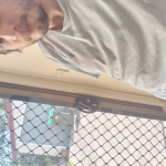 20230917_105343.jpg
