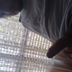 20230917_105446.jpg