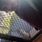 20230918_143307.jpg